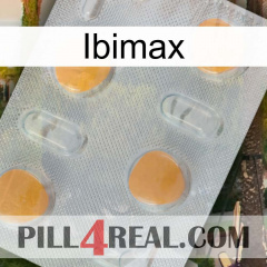 Ibimax 24